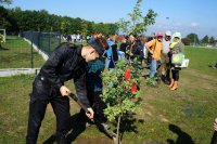 Policjanci podczas akcji sadzenia drzew