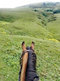 Widok na góry, na pierwszym planie końska głowa