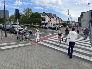 Na zdjęciu widać przejście dla pieszych przy Alei Niepodległości oraz pieszych przechodzących przez to przejście.