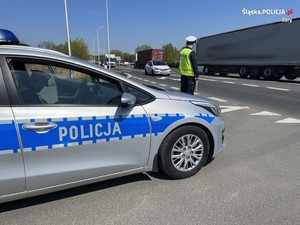 Na zdjęciu widać policjanta ruchu drogowego w trakcie policyjnej akcji. Policjant stoi przy radiowozie, w tle widać drogę.