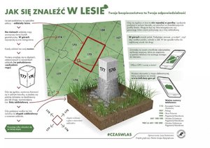 Grafika przestawia informacje o zasadach bezpiecznego grzybobrania.