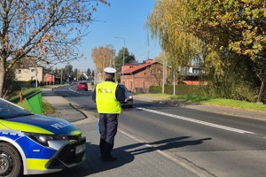Na zdjęciu widać policjanta, radiowóz i drogę.