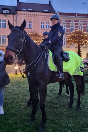 Na zdjęciu widać policjanta na koniu.