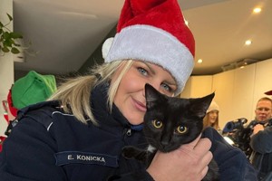 Na zdjęciach widać policjantów oraz zaprzyjaźnione służby podczas akcji pomocowej.