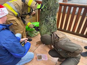 Na zdjęciach widać policjantów oraz zaprzyjaźnione służby podczas akcji pomocowej.