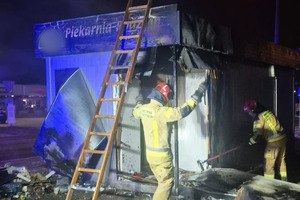 Na zdjęciu widać pogorzelisko, budynek i strażaka.