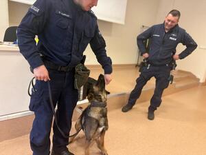 Na zdjęciu widać przebieg zajęć z zakresu kryminalistyki, policjantów i uczniów.