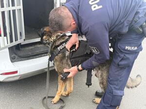 Na zdjęciu widać przebieg zajęć z zakresu kryminalistyki, policjantów i uczniów.