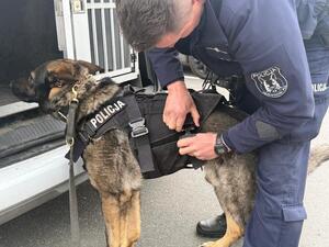 Na zdjęciu widać przebieg zajęć z zakresu kryminalistyki, policjantów i uczniów.